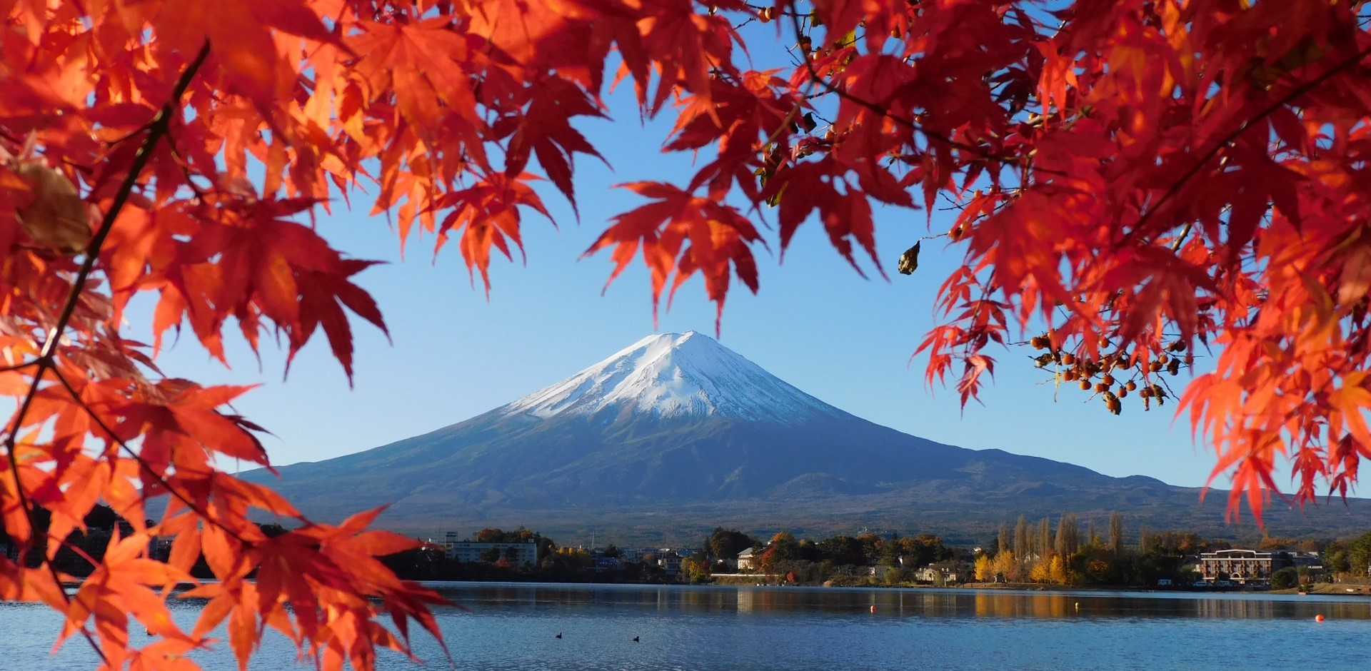 富士山